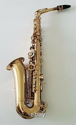 Alto Saxophone Eb Sax in Gold Lacquer + Hard Case- Intermusic Full Outfit 4