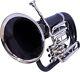 Brass Euphonium 4 Valve Bb Pitch With Carry Case & Mouthpiece Musical Instrument
