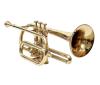 Cornet Trumpet Musical Instruments Including Mouthpiece & Carry Case Bb Pitch