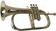 Equisite! New Golden-finish-bb Flugel Horn With Free Case+mouthpiece+fast Ship