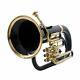 Euphonium 3 Valve Bb Pitch With Including Mouthpiece & Carry Case (black Gold)