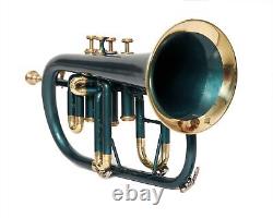FlugelHorn 4 Valve Bb Pitch With Including Mouthpiece & Carry Case (Green Gold)