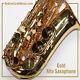 Gold Alto Saxophone In Case Masterpiece + Box Of 10 Reeds Brand New