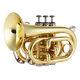 Golden Pocket Trumpet Bb Flat Brass Withmouthpiece New M0o4