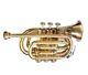 New Brass Look Bb Flat Pocket Trumpet+free Hard Case+mouthpiece
