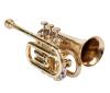 Pocket Trumpet Bb Pitch With Including Mouthpiece & Carry Case Gloves (silver)
