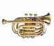 Pocket Trumpet Brass Finish Bb Pitch With Hard Case & Mouthpiece Ghfyf