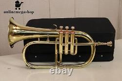 Professional Brass Flugelhorn Bb Pitch Instrument Golden Finish With Hard case