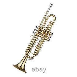 Trumpet Bb B Flat Pro Brass Exquisite With Mouthpiece For Beginner M8I4