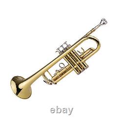 Trumpet Bb B Flat Pro Brass Exquisite With Mouthpiece For Beginner M8I4